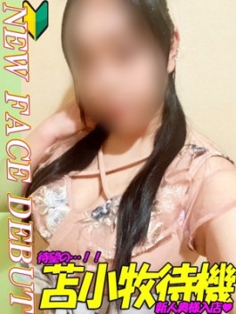 風俗 (人妻デリヘル 札幌市内派遣) 札幌癒し妻 まゆみ【新人奥様】 ビッグデザイア